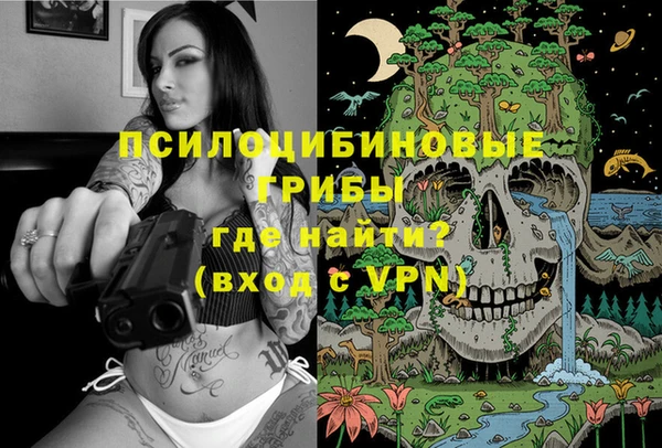 ALPHA PVP Алзамай