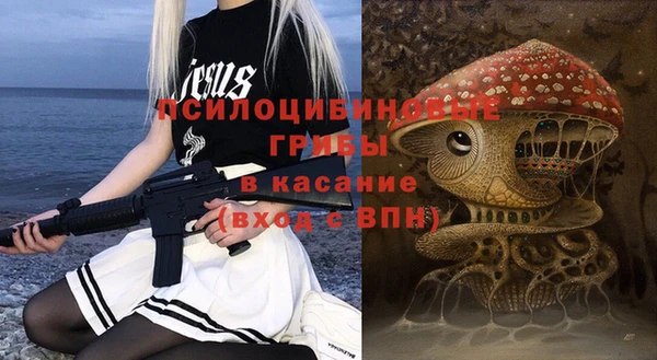 твердый Абаза