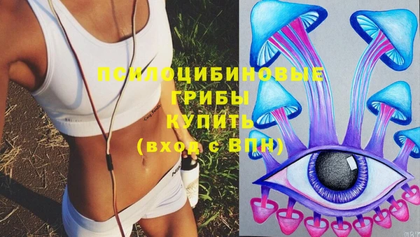 твердый Абаза